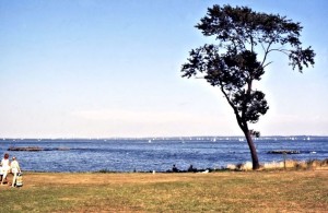 Long Island Sound seen from a park around the corner from Harbour House. Long Island can be vaguely seen in the distance, just where Great Gatsby takes place, i.e. in Great Neck and Little Neck.