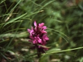 sj87_34b015-a-600