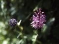 sj87_34b020-aa-cr-600