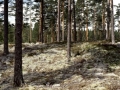 sj84_25a046_a_40