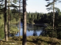 sj84_25a057_aa-700