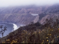 sj79_16a077-a-500