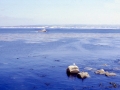 sj79_16b011-aa-500