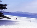 sj79_16b014-aa-500