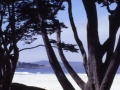 sj79_16b015-a-500