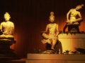 sj79_15b024-aaa-500