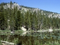 sj79_15b046-a-500