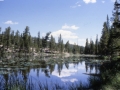 sj79_15b047b-a-500