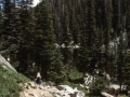 sj79_15b067-500