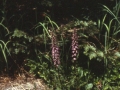sj79_15b070-a-500