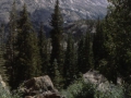 sj79_15b072-a-500
