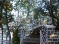 in12_020908281_s-550