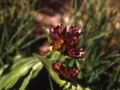 sj93_49b069-a-600