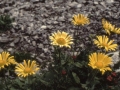 sj85_28b055-a-600