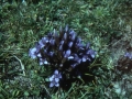 sj86_31b028-aa-600