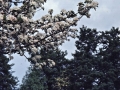 sjxy_1b19_a_40