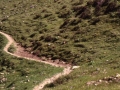 sj93_50a062-a-550