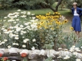 sj79_15b003-a-500