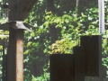 sj79_15b004-b-500