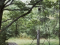 sj79_15b005-aa-500