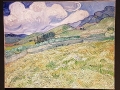 van-gogh-a-48