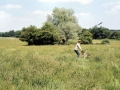 sj74_10b038_aa-450