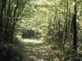 sj74_10b041_a_450