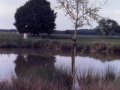 sj76_12b064-aa_1-350