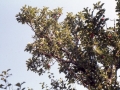 sj76_13a010-450