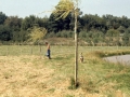 sj77_13b003-aa-450