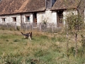 sj77_13b059-aaa-520