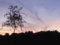 sj78_14b024_aaa-500