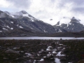 sj82_21b050_r_aaa-500