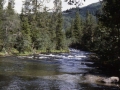 sj82_21b011-a-550