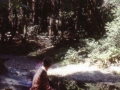 sj79_16b036-a-500_1