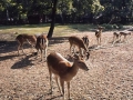 sj71_06b065_b_40