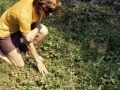 sj71_07a025_a_40