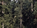 sj71_07a034_a_40