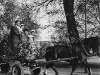 horse_cart_limhamnsvagen_a_35