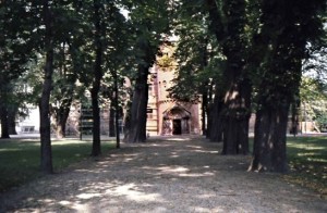 The King's House seen behind the wonderful several hundred years old trees in 'Lundagård'. It is said that Karl XII rode on his horse all the way up to the top of the tower. The steps were very shallow -- and very worn in my days -- so he could well have done so.