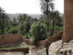 Tourist after the visit of the Ksar of Tamnougalt (ksar- fortified city), now in ruins -- Huge "palmeraie" next to the old city. ma10_032212343_s_bb-550