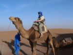 Siv on her camel. We are on our way to the desert sunset. ma10_032417413_p550