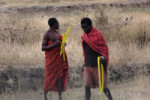 Twio Masai men, but the traditional walking sticks they used to be seen with. These things look like some Chinese toys. tz12_100607531_2as_a-650c
