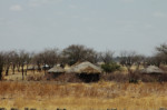 A Masai village in the Tarangire National Park, on our way out.
