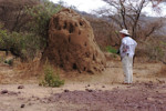 John in front of a termite hill. We actually saw even higher ones than this one.