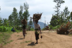Women carrying burdens