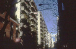 Siv was very impressed by the many stylish apartment buildings with fronts covered with balconies adorned with bushes and mini-trees.