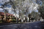 Street seen that could actually have been in College Park, Orlando, where John's family used to live. sj79_44a055-a-500