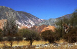 Quebrada de Humahuaca -- more colorful mountains