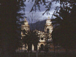Cafayate church behind palmtree